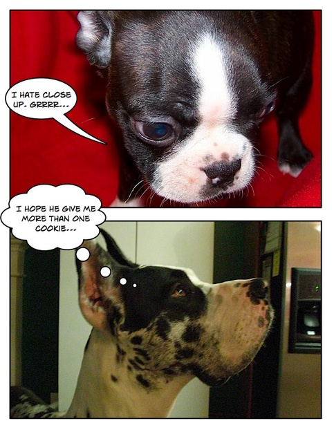 Page_3