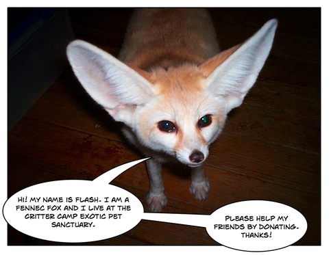 Page_1